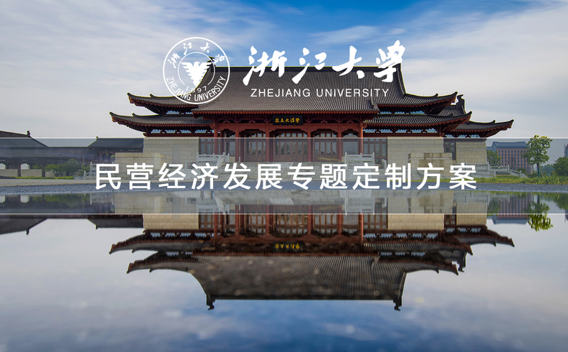 民营经济发展专题定制方案.jpg
